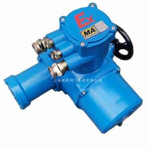 上海湖泉ZB60-24煤安型礦用隔爆閥門電動裝